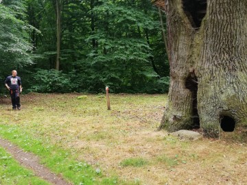 koszenie_laki_w_byszewach_2019  2, 